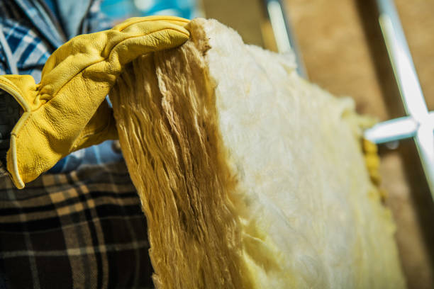Best Fiberglass Insulation  in Monrovia, IN